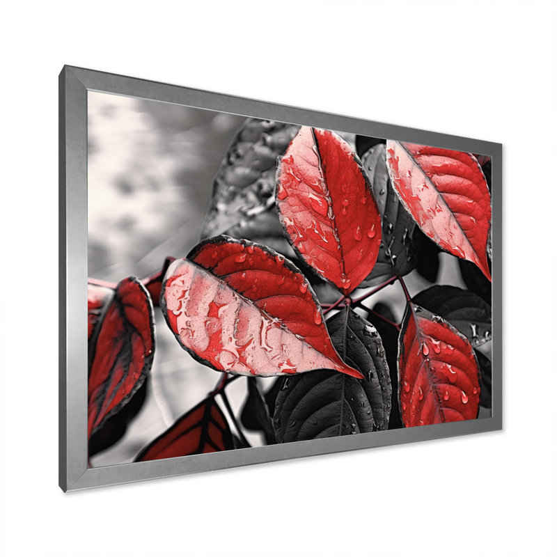 Feuilles rouges et grises sur un arbre V, H 34 po x l 44 po x P 1,5 po, Cadre simple argenté
