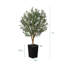 Olive artificielle George avec pot décoratif, faux olivier résistant aux rayons UV avec tronc naturel-1799478852-1799478853