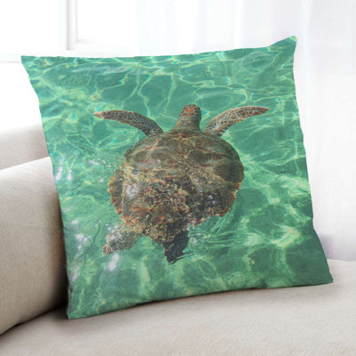 Throw Pillow