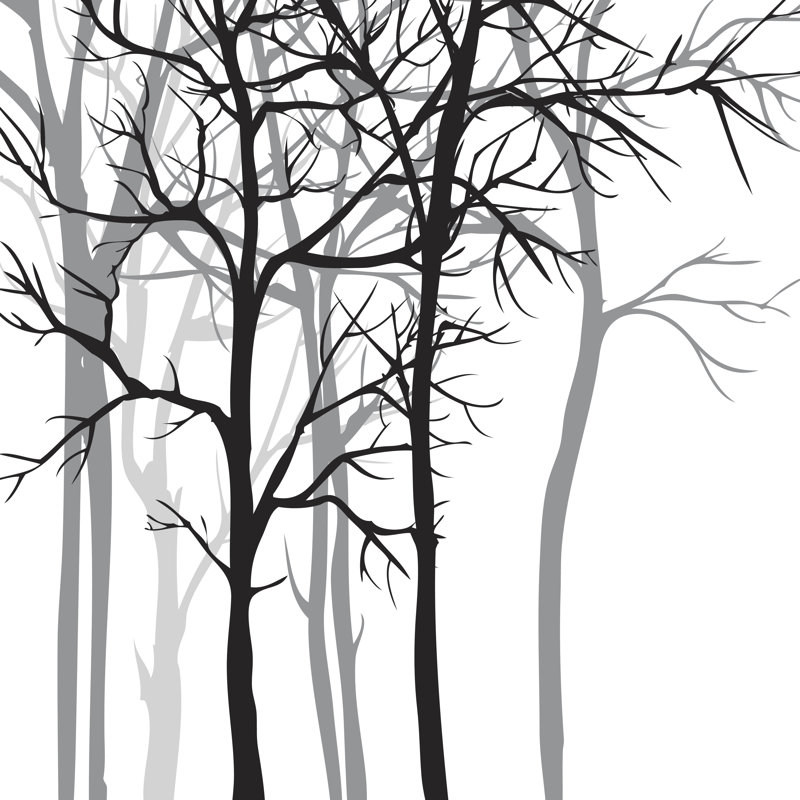 " Vector Background With Trees ", 30" H x 30" W  