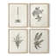 «Vintage Floral Print», impression encadrée «ACC», par 4-991916430