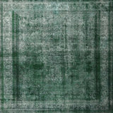 Oriental Indoor Rug