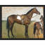 «Green Vintage Horse Saddle» sur-98298919-98298920