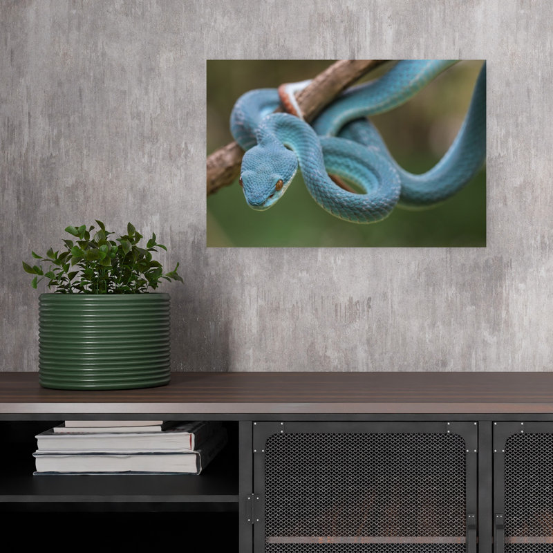 Blue Viper'S Gaze Abstract Contemporary Snake Forest Landscape Wall Art Print 1 Piece Wrapped Canvas Wall Art