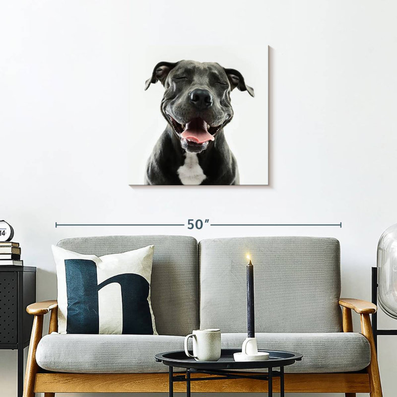 Crowle Smiling Black Pitbull