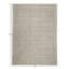 Area Rug in Silver