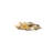 0.25 - 0.5 Inch Multi Colored Polished River Pebbles For Garden & Home Decor, Outdoor Landscaping, Garden & Yard