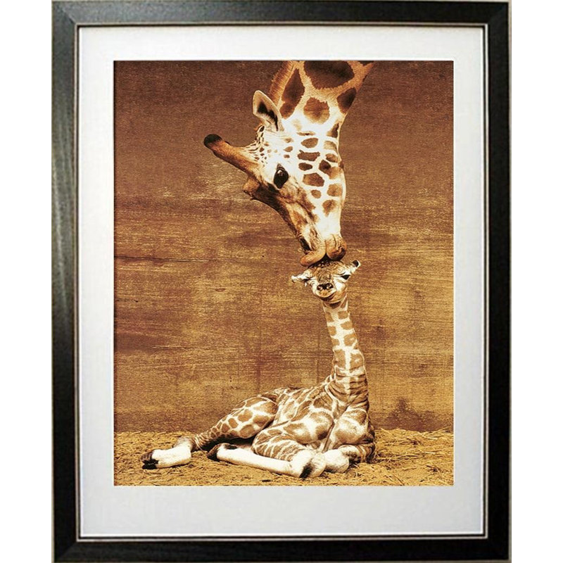 «Makulu Giraffe Mother Love First Kiss» par Ron D'Raine, reproduction de photo encadrée