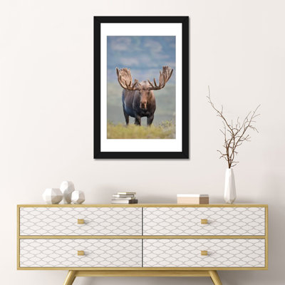 «Bull Moose on the Tundra Denali National Park and Preserve Alaska USA», reproduction de photo sur toile