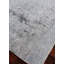 Beverly Oriental Area Rug in Gray-29005065