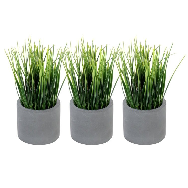 Primrue 7.87'' 3 Piece Faux Greenery Grass Plants in Cement pots