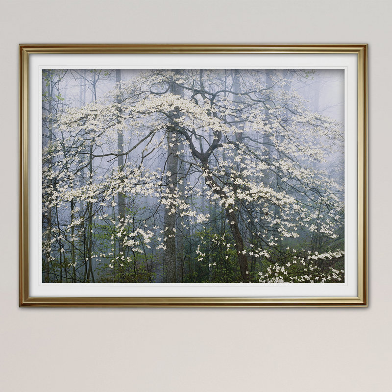 « jones _ dogwood auvent », reproduction d’impression sur toile tendue, H 30 po x l 40 po x P 1,5 po, Cadre doré