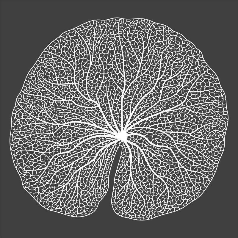 " Leaf Vein ", 12" H x 12" W  