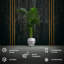Handmade Planter-52455012