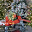 Petit avion avec arbre de Noël illuminé
