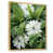 Cadre naturel flottant