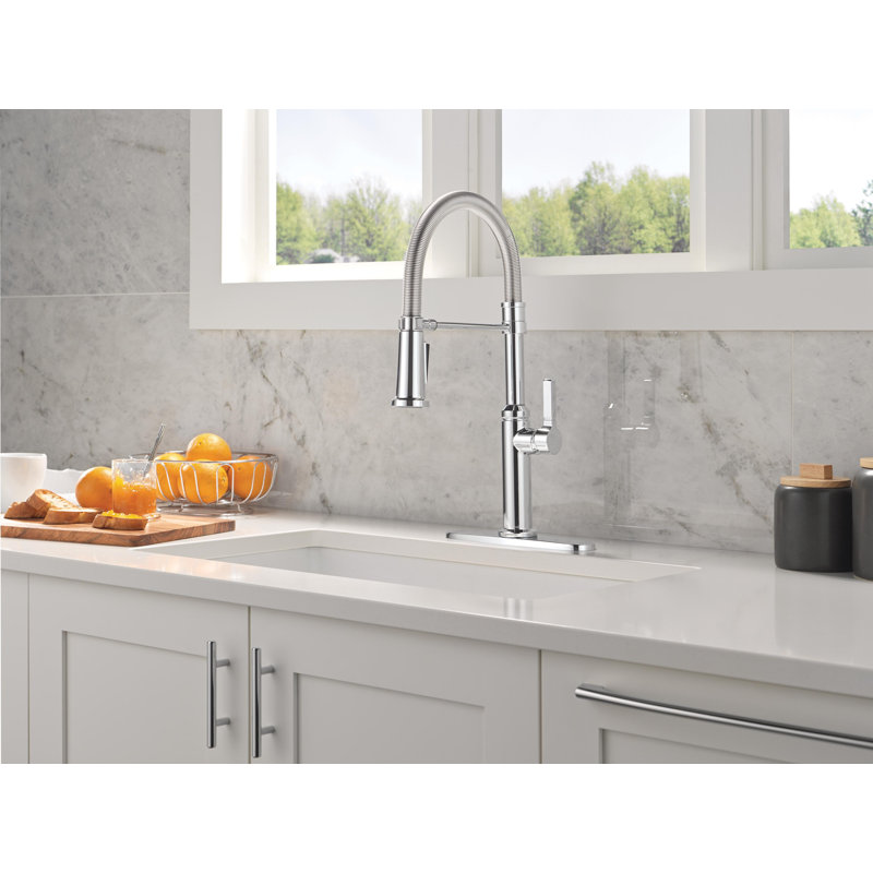 Robinet de cuisine Rhett Pro Style, Chrome