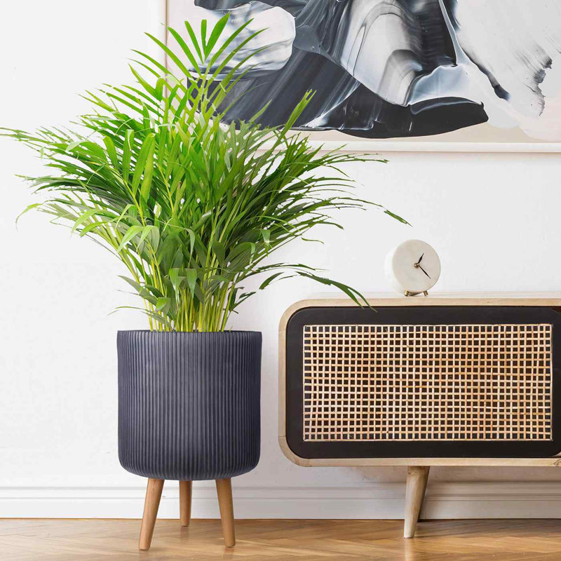 Ribbed Cylinder Planter with Feet, Black, 46cm H x 30.5cm W x 30.5cm D
