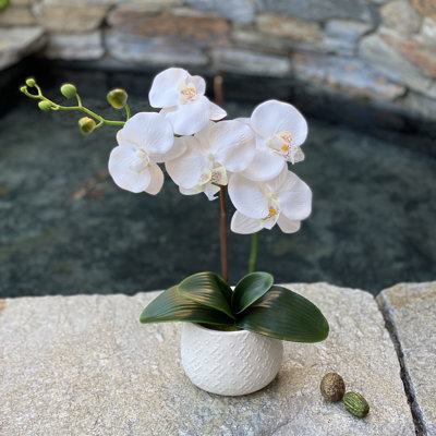 18 " Faux Orchid in Ceramic Planter
