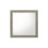 Light Gray Finish Mirror