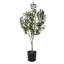 Arbre à fleurs vert olive Vickerman-73286564