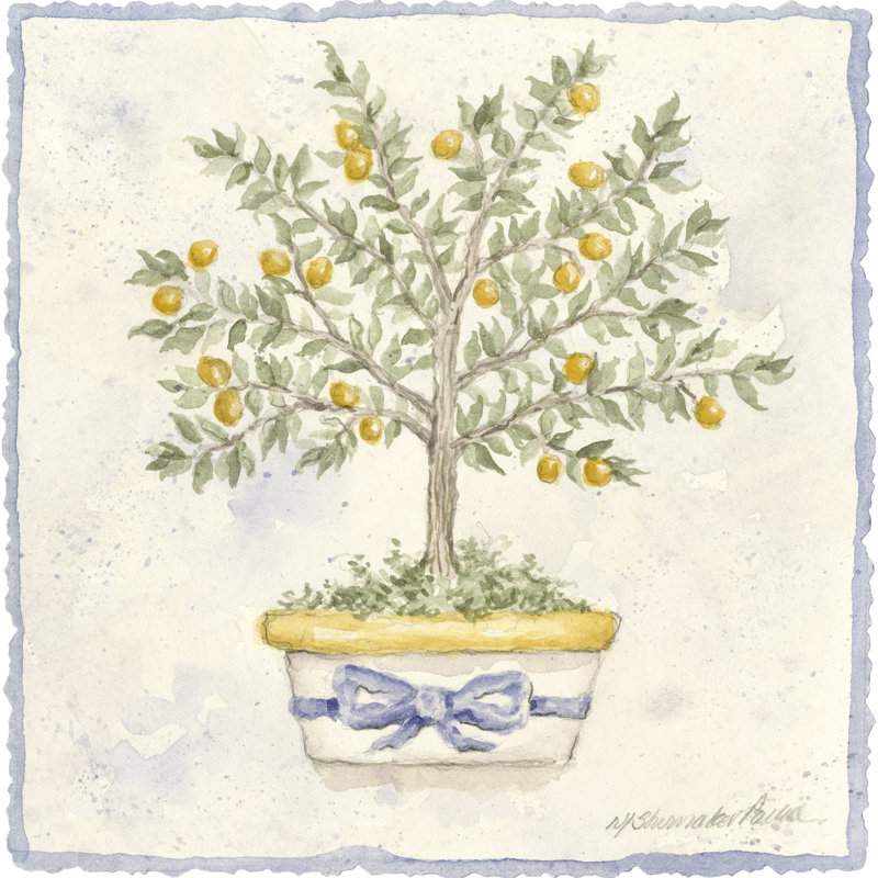 French Topiary I by Nancy Shumaker Pallan - Wrapped Canvas Painting, 30cm H x 30cm W x 3.8cm D