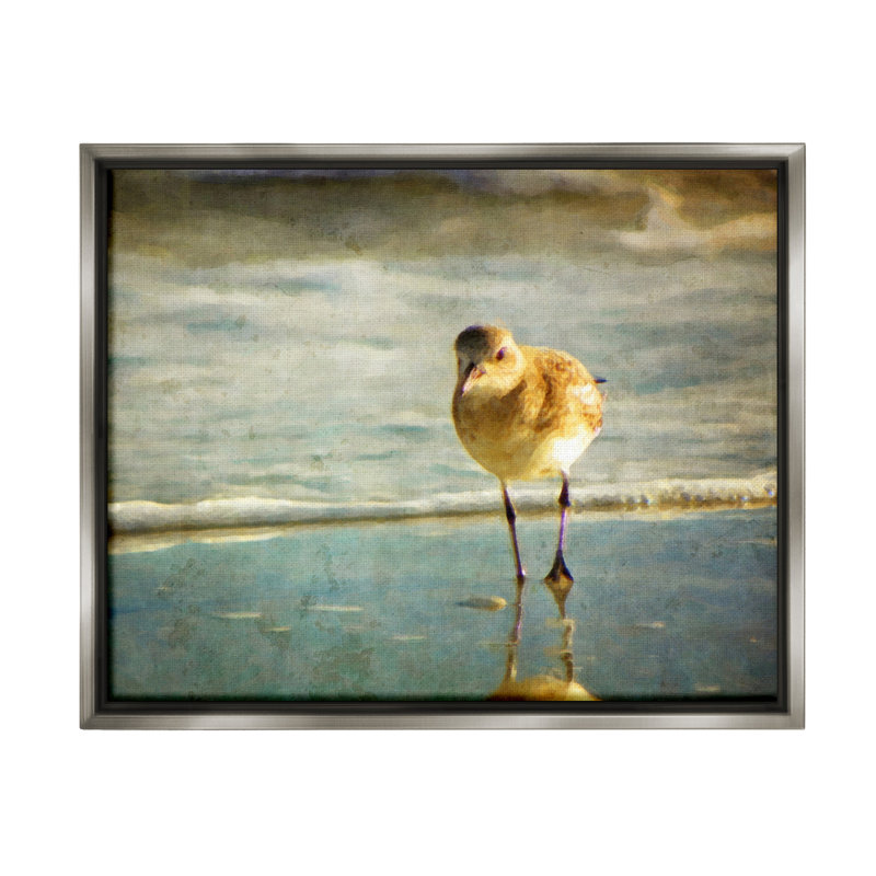 "Stepping Sandpiper at Shore", art mural sur toile flottante par GraffiTee Studios, Cadre flottant gris lustré