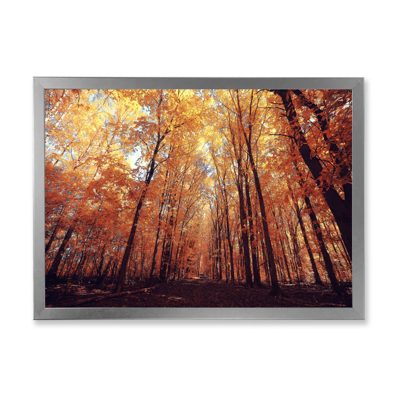 Mystic Yellow Fall Forest III - Art mural sur toile traditionnel, L 12 po x H 8 po, Cadre photo argenté