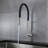 AA Warehousing Pull Out Kitchen Faucet