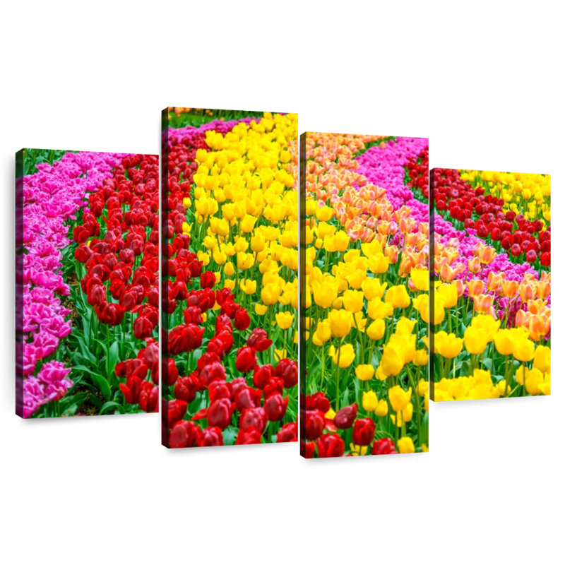 Harnek Spring Tulip Garden