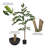 Artificial Green Nandina Tree-1996928397