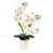 White est en rupture de stock