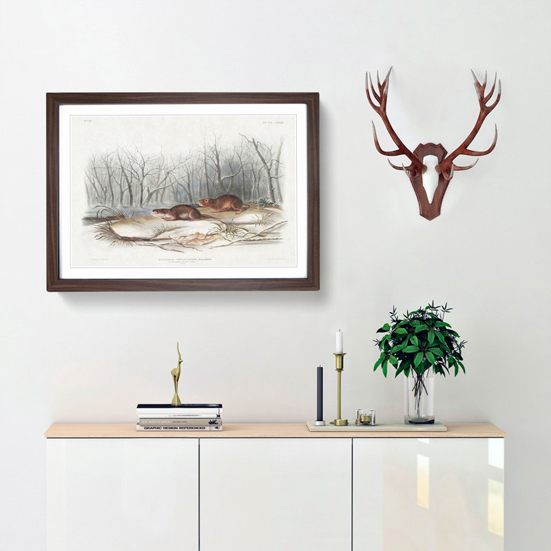 Meadow Mouse by J.W. Audubon - Framed Print, 48cm H x 65cm W x 2cm D, Walnut Framed