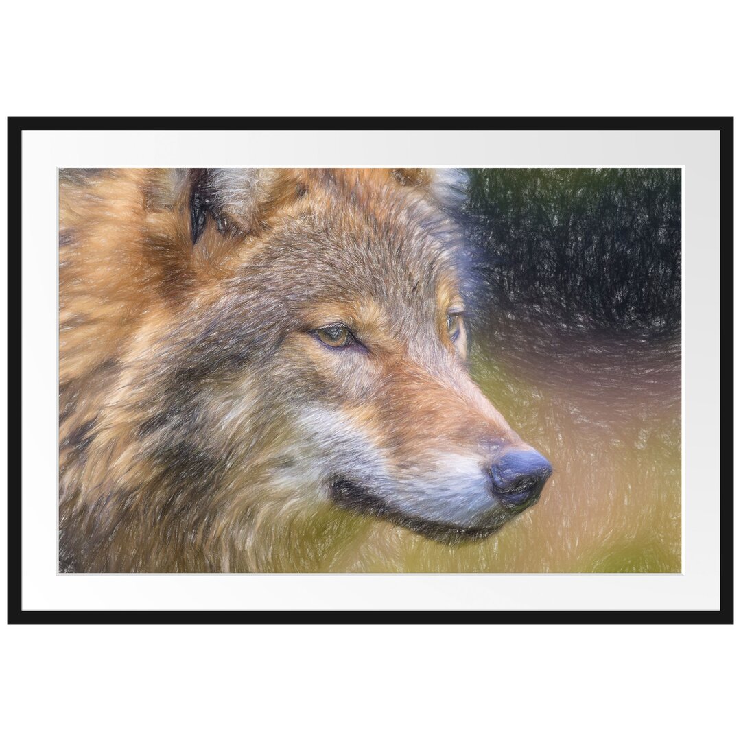 Gerahmtes Poster Porträt des europäischen Wolfes