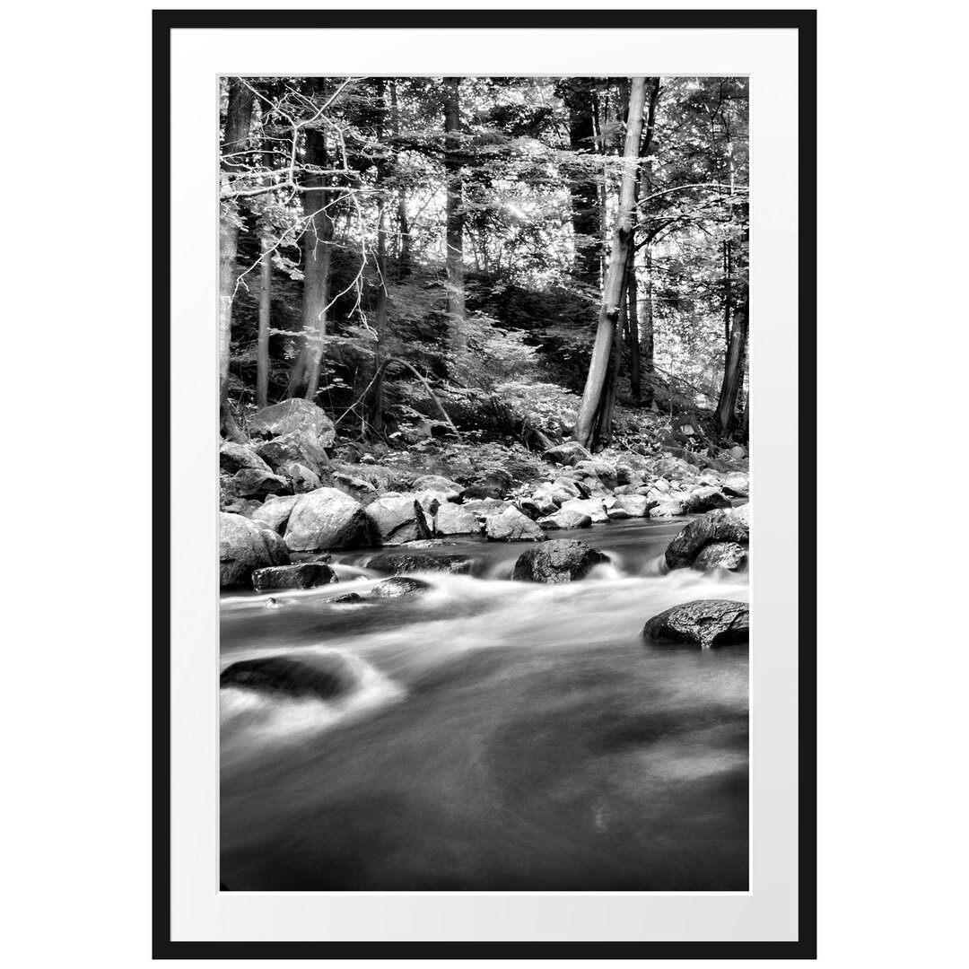 Gerahmtes Poster Fluss im Wald mit Steinen