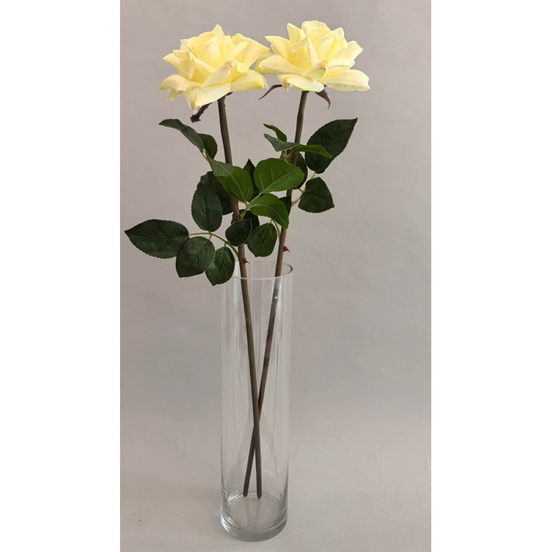 TIGE DE ROSE 27 po, Jaune