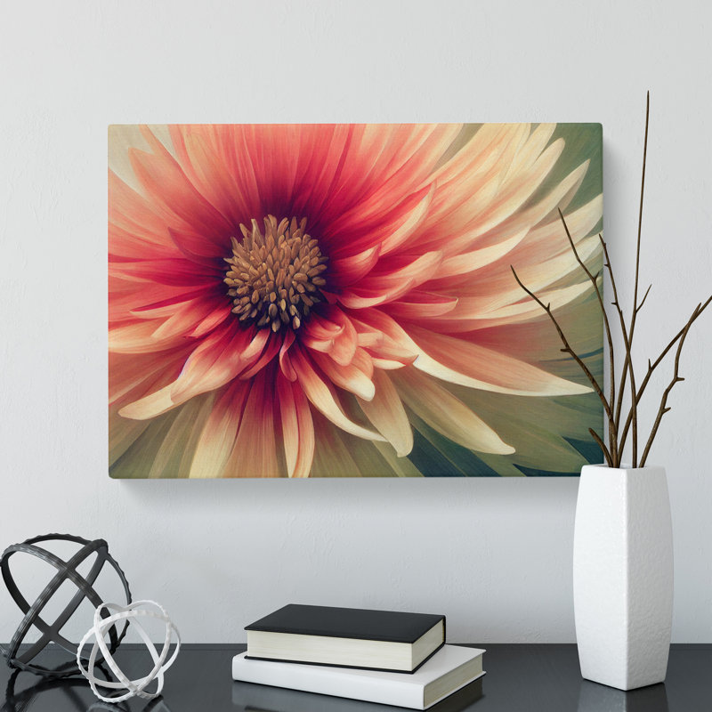 Cosmopolitan Chrysanthemum Flower - Wrapped Canvas, 35cm H x 50cm W x 3cm D