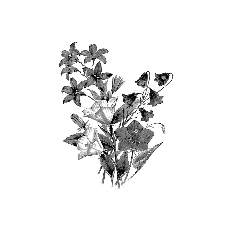 Botanical II by Kelly Donovan - Wrapped Canvas Painting, 101.6 cm H x 66.04 cm W x 1.91 cm D