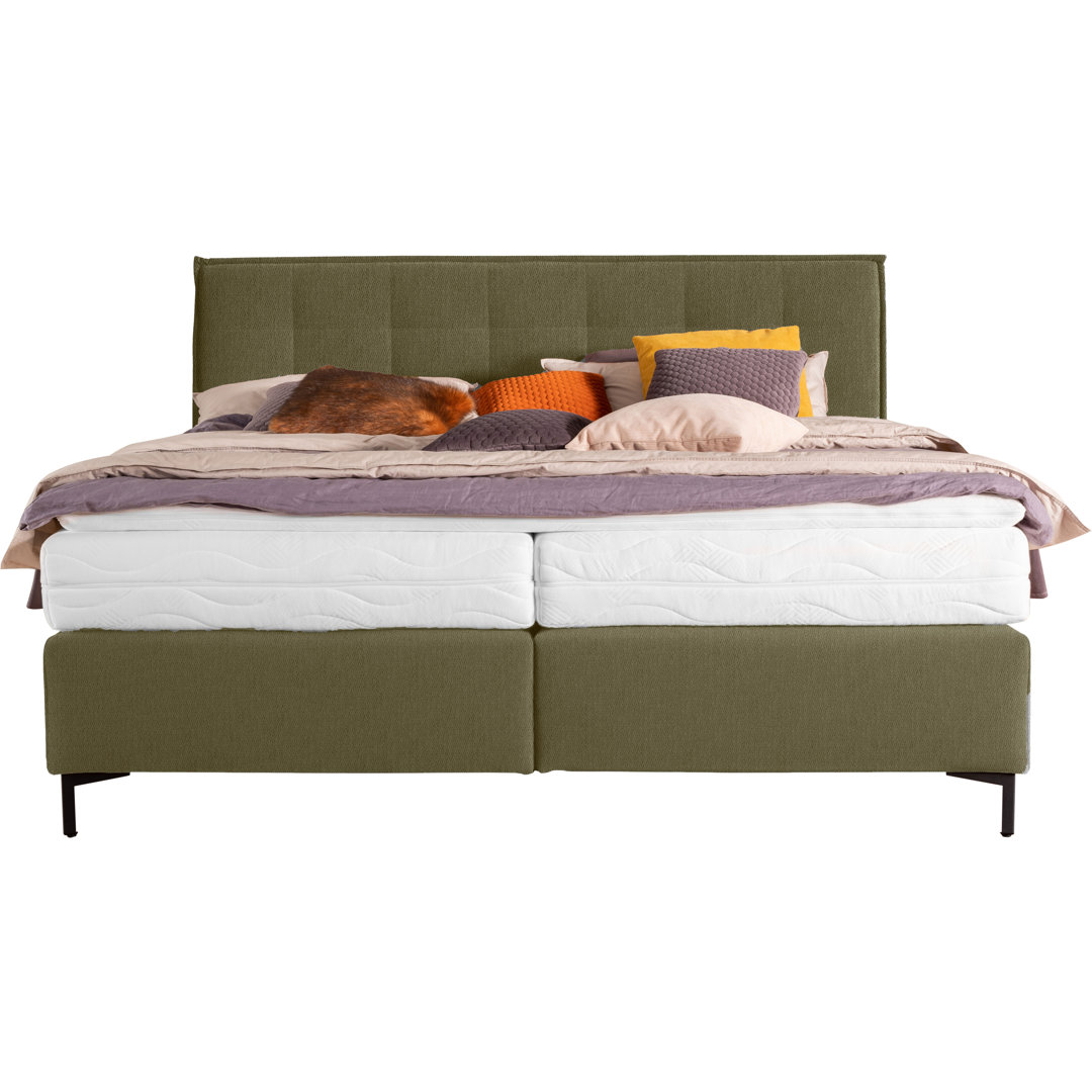 Boxspringbett Robenson mit Topper