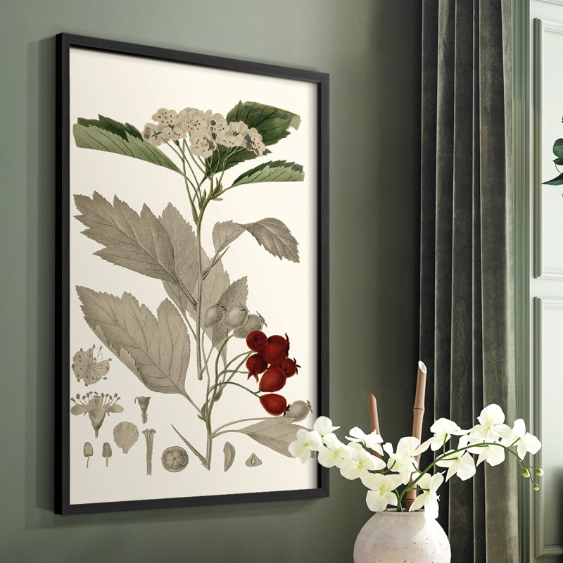 «Leaves & Berries I», reproduction encadrée - bois massif, Noir, H 20 po x l 16 po