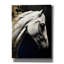«Epic Graffiti» «White Horse» par Andreas Magnusson, art mural sur toile-106173291