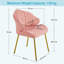 Aaliyiah Contemporary and Classic Velvet Accent Chair Backrest Tub Chair-1252989056