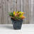 Alaunah Pot Planter-856830644-840690749