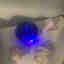 Photos des clients 1 de 1