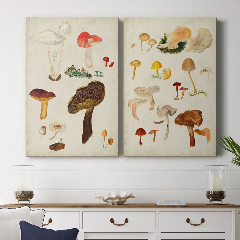 Toile tendue avec châssis Mushroom Species, H 60 po x l 80 po