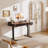 Office Desk,Electric Standing Desk Whole-Piece Desktop 48 x 24 Inches,Computer Desk,Height Adjustable Desk with 3 Drawers Home Office Table with 3 Memory Preset-907731117-891253057