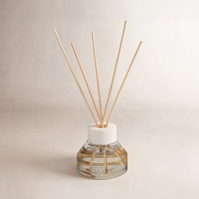Fresh Sea Salt Reed Diffuser