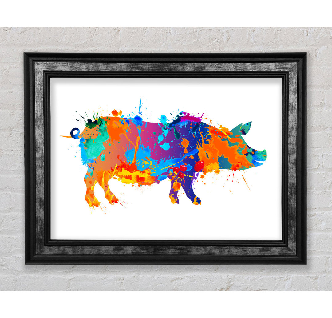 Colour Splash Pig Gerahmter Druck