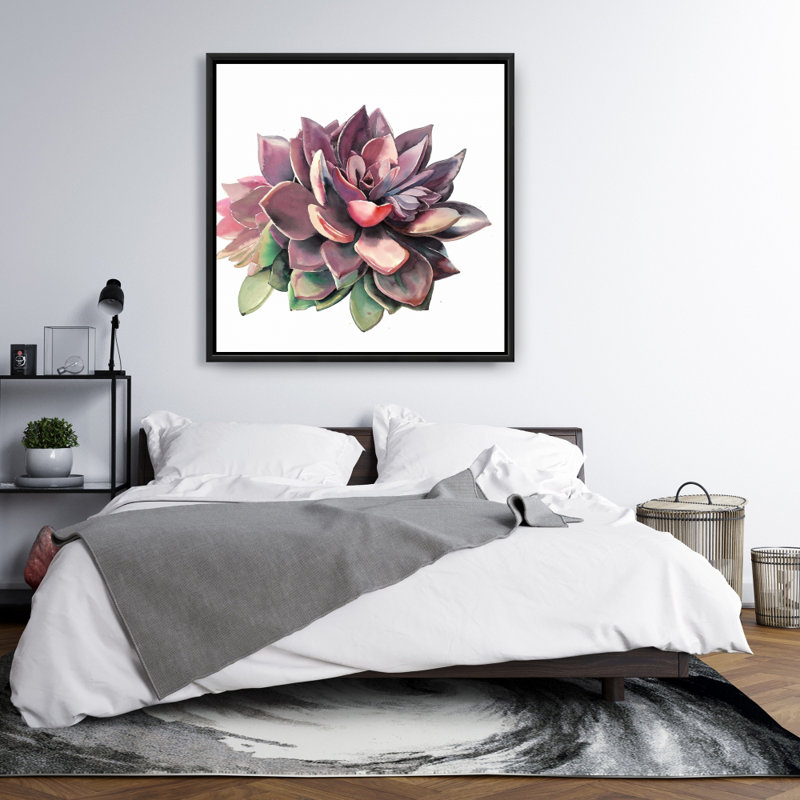 " Succulent "