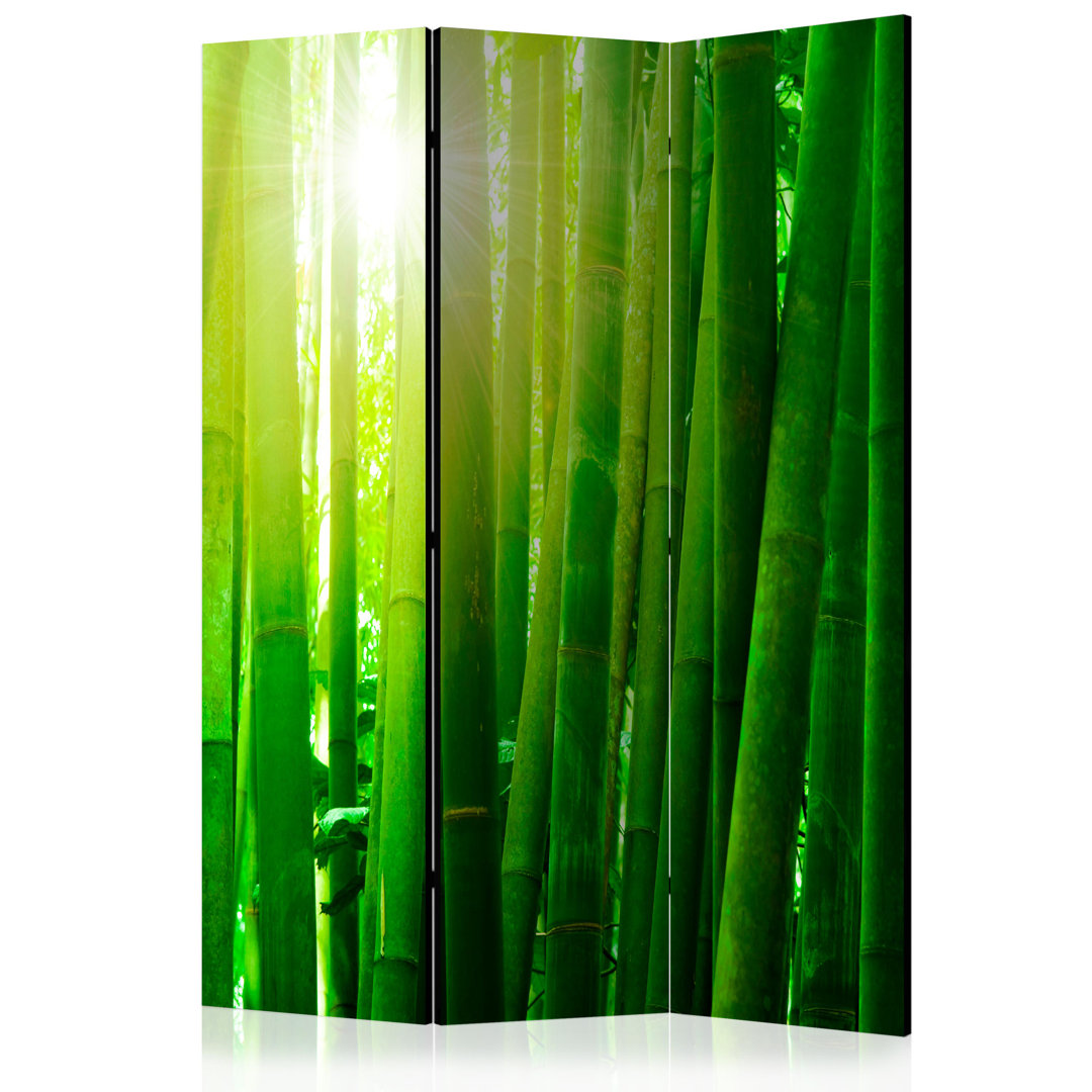 Paravent Sun And Bamboo mit 3 Paneelen